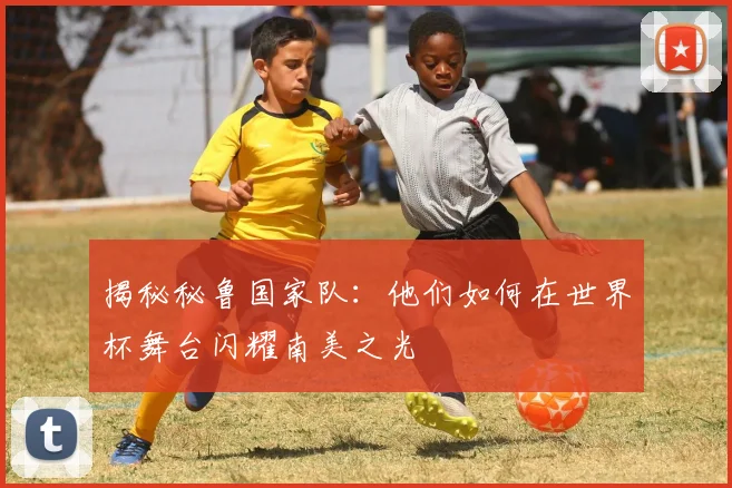 揭秘秘鲁国家队：他们如何在世界杯舞台闪耀南美之光